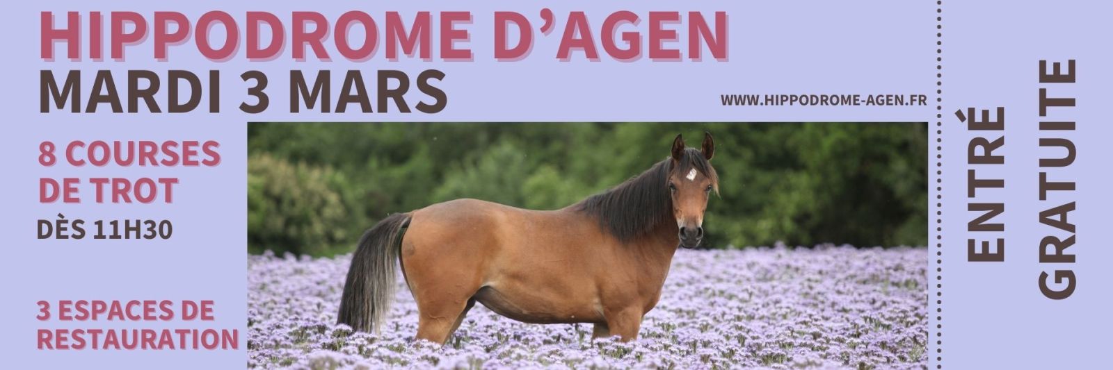 Sport & spectacle équestre + restaurant