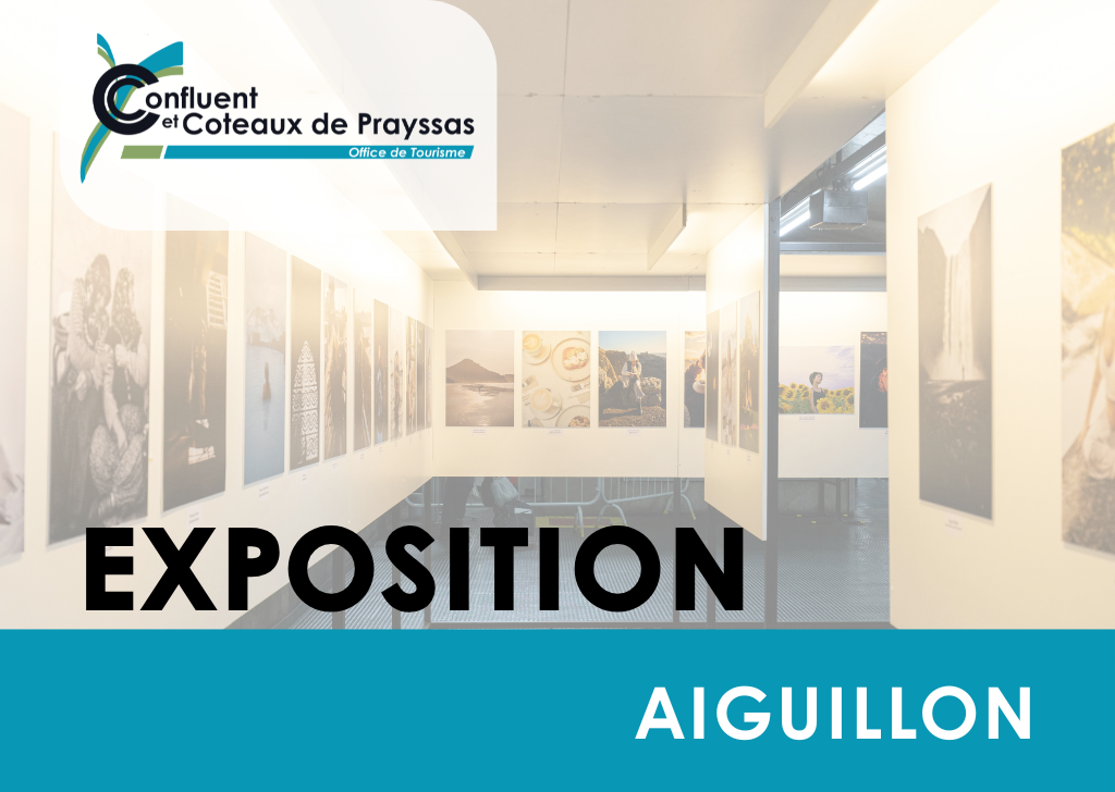 Exposition Lumières Françaises : de la cour de ...