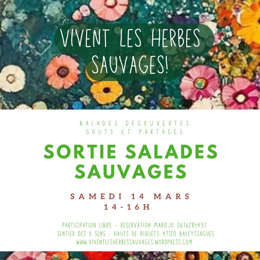 Sortie salades sauvages au Domaine les Hauts d ...