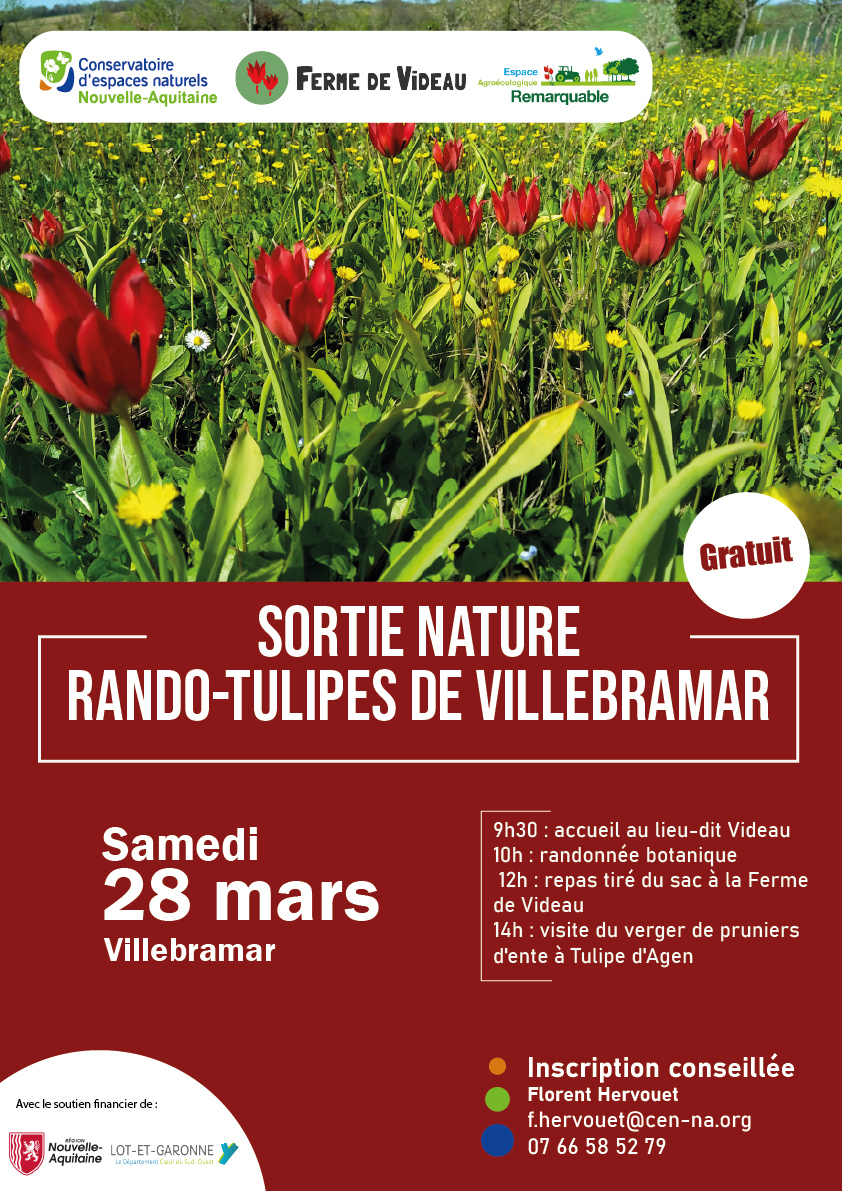 sortie nature : Rando-tulipes de Villebramar