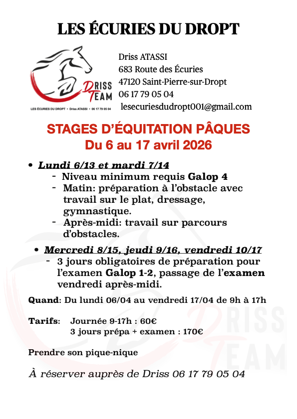 Stage d'équitation
