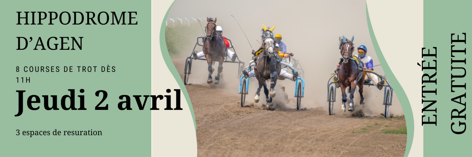 Spectacle de courses de chevaux