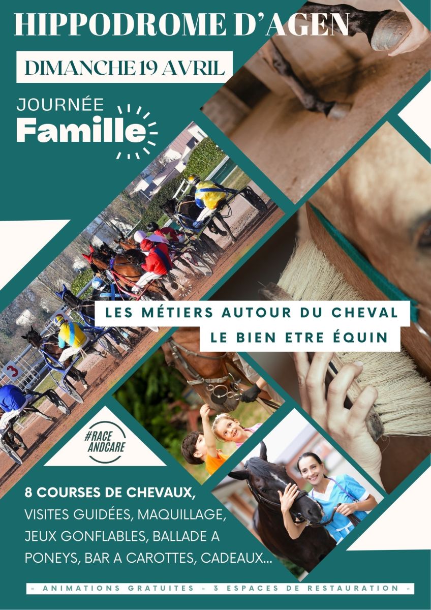 Journée famille autour des métiers du cheval