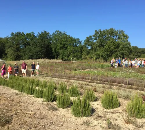 Visite de la ferme bio Néoherba