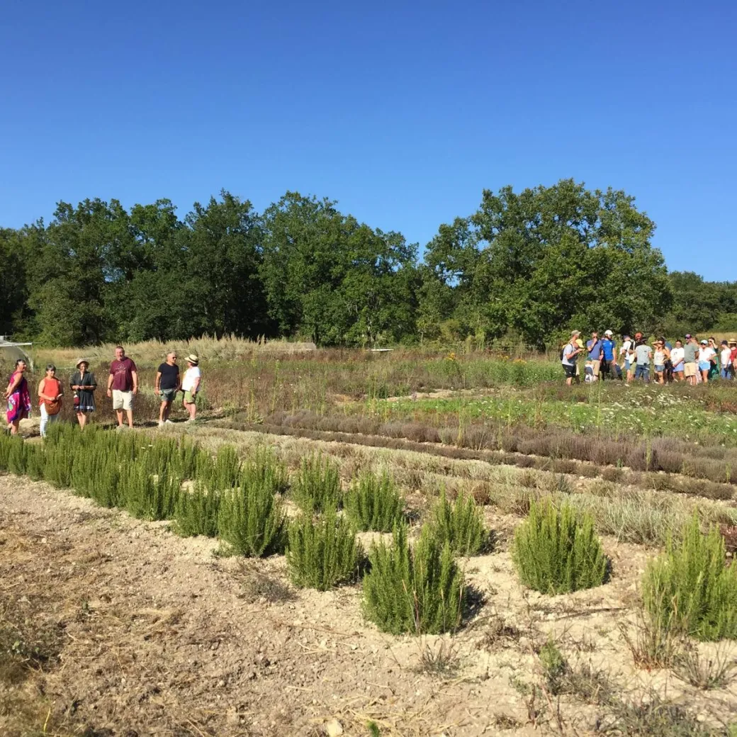 Visite de la ferme bi ... - Crédit: Néoherba | CC BY-NC-ND 4.0