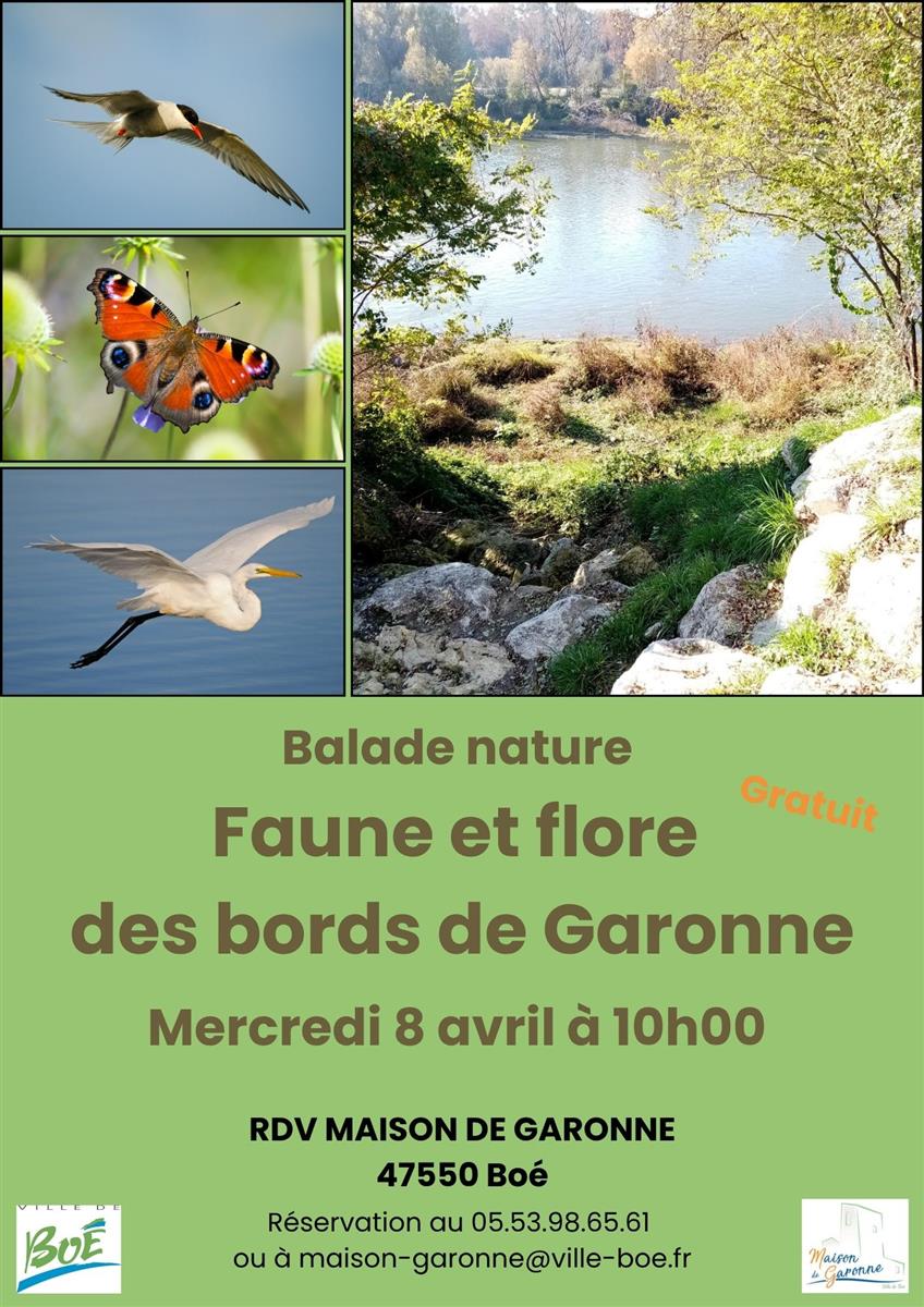 Balade nature « faune et flore des bords de Ga ...