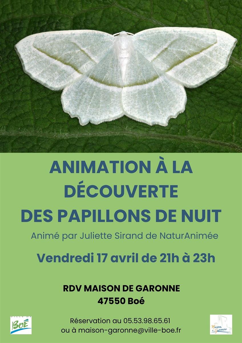 Animation à la découverte des papillons de nuit
