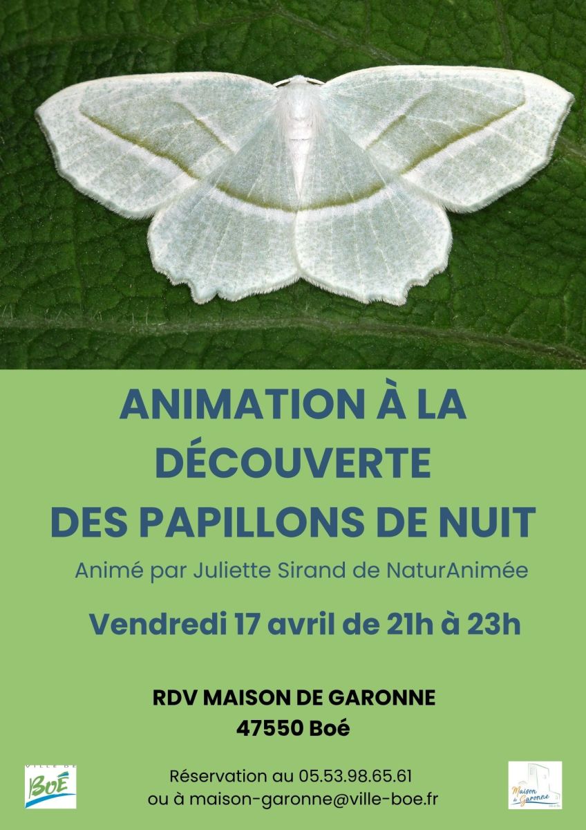 Animation à la découverte des papillons de nuit
