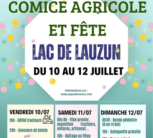 Vide-greniers du Comice Agricole