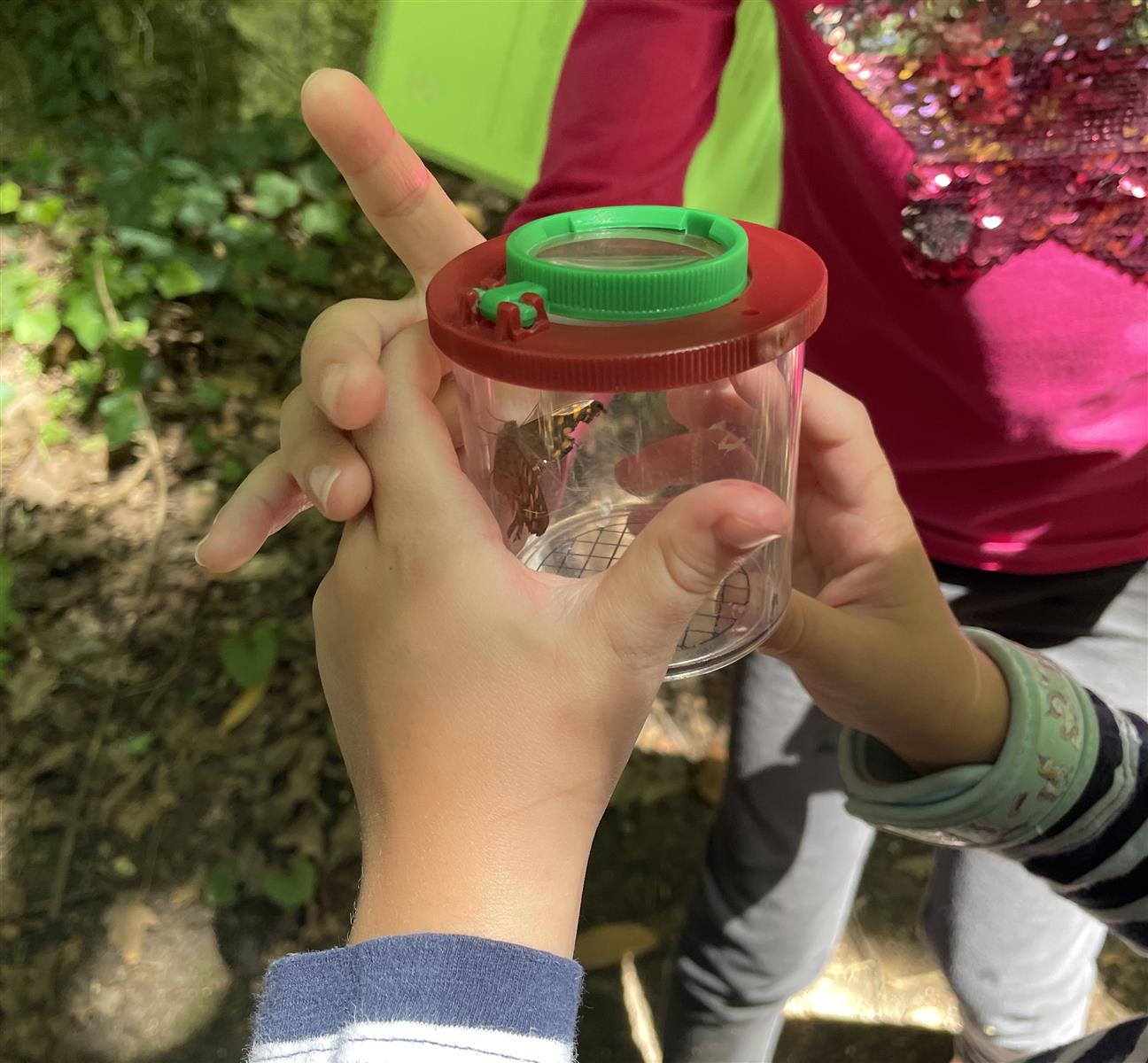 Garenne secrète, voyage au cœur de l’ancien do ...