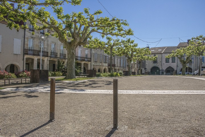 Visite guidée : les secrets des Sotiates