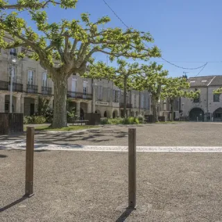 Visite guidée insolite : les secrets des Sotiates