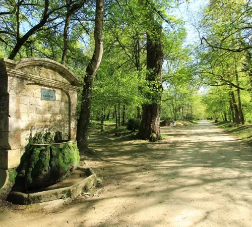 Laissez-vous conter les jardins du Roi...