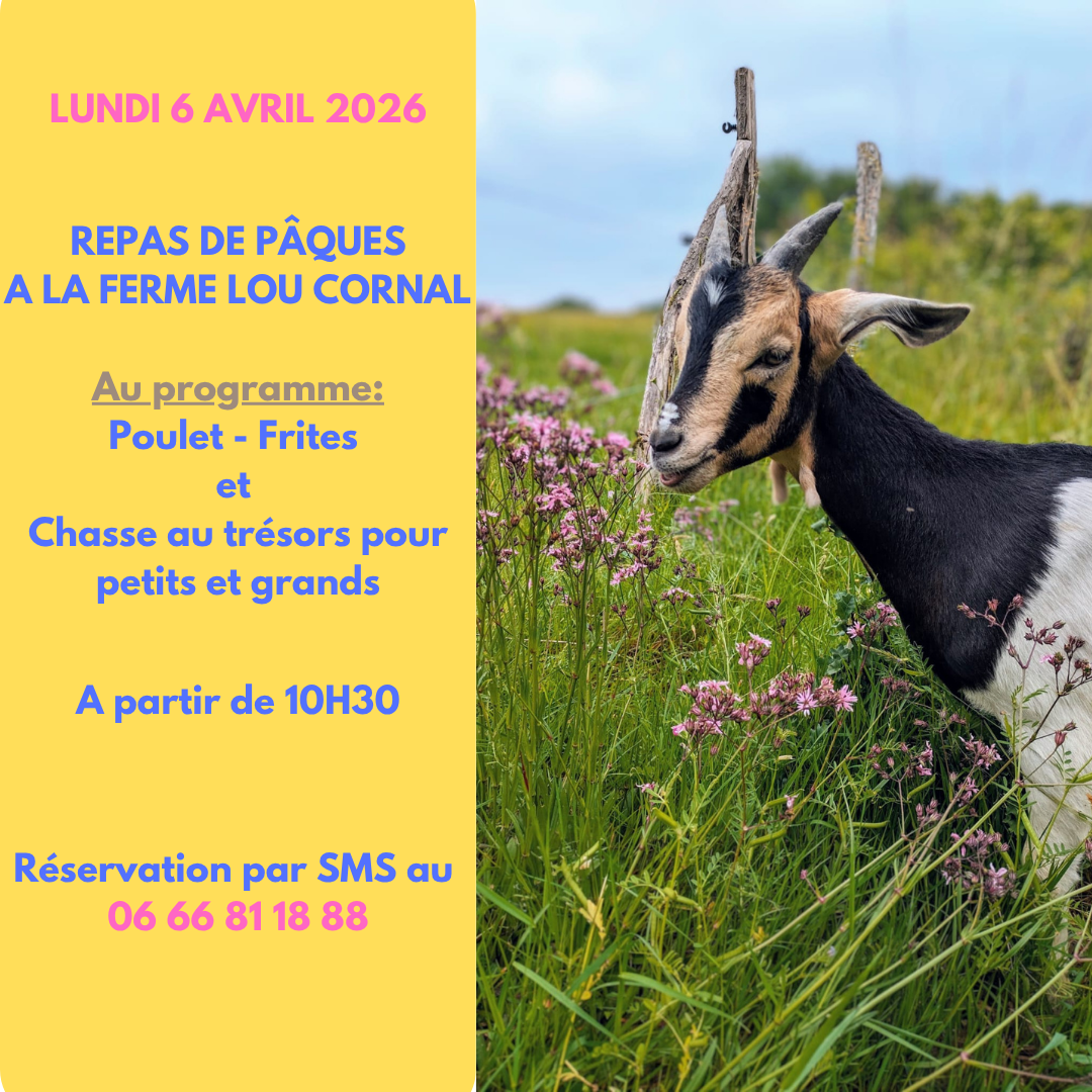 LUNDI 6 AVRIL: REPAS DE PÂQUES ET CHASSE AUX T ...