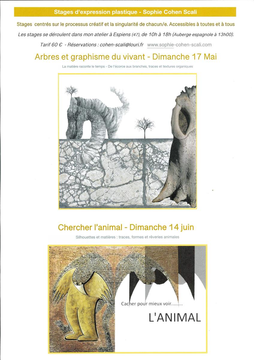 Stage d'expression plastique : Arbres et graph ...