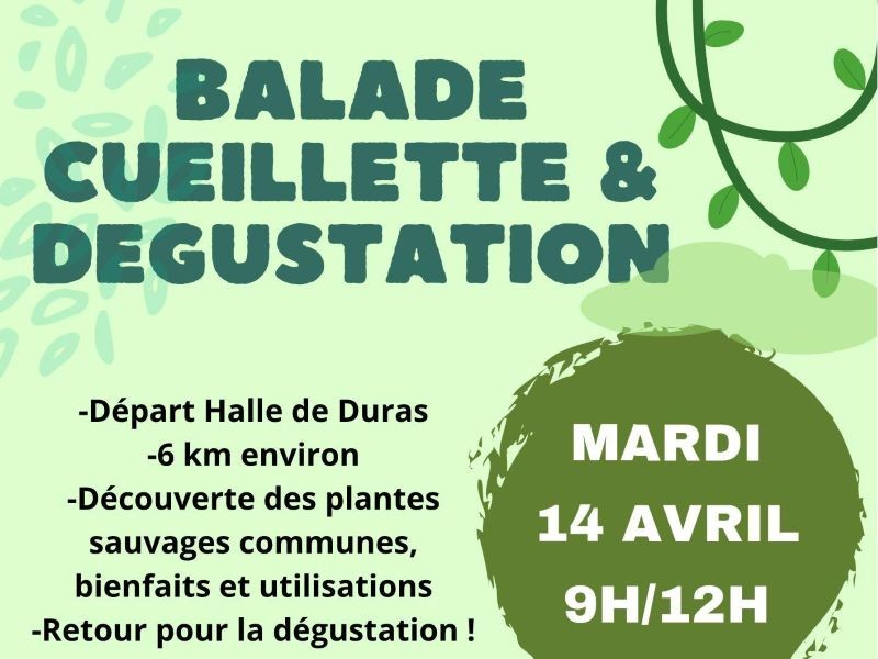 Balade, cueillette et dégustation avec Agnès d ...