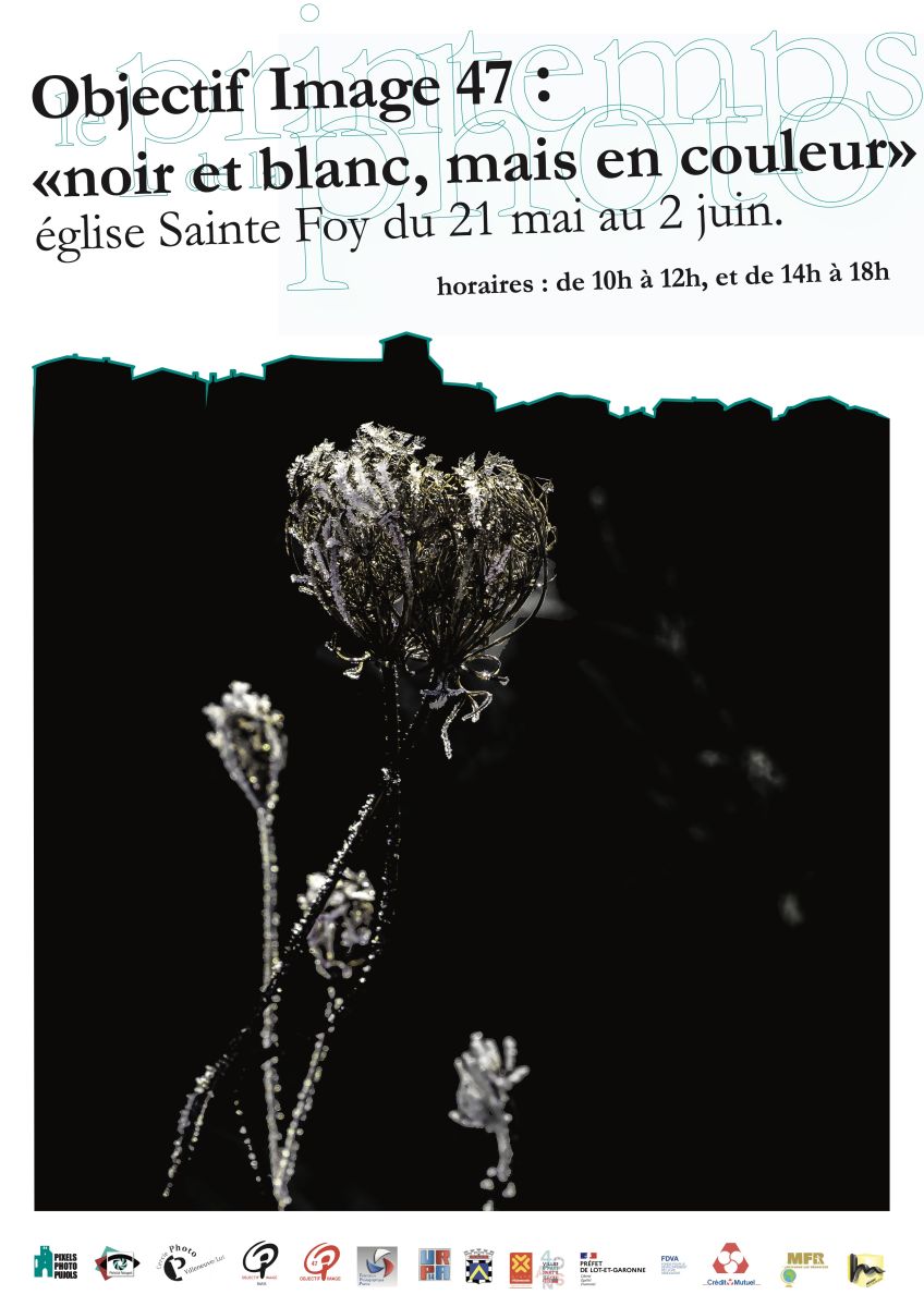 Exposition Photos "Noir et Blanc, mais en couleur"