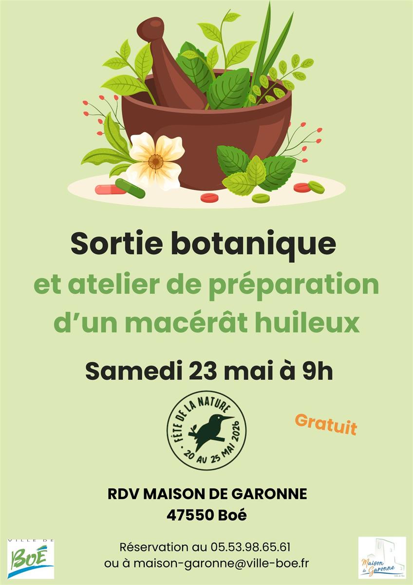 Sortie botanique et préparation d’un macérat h ...