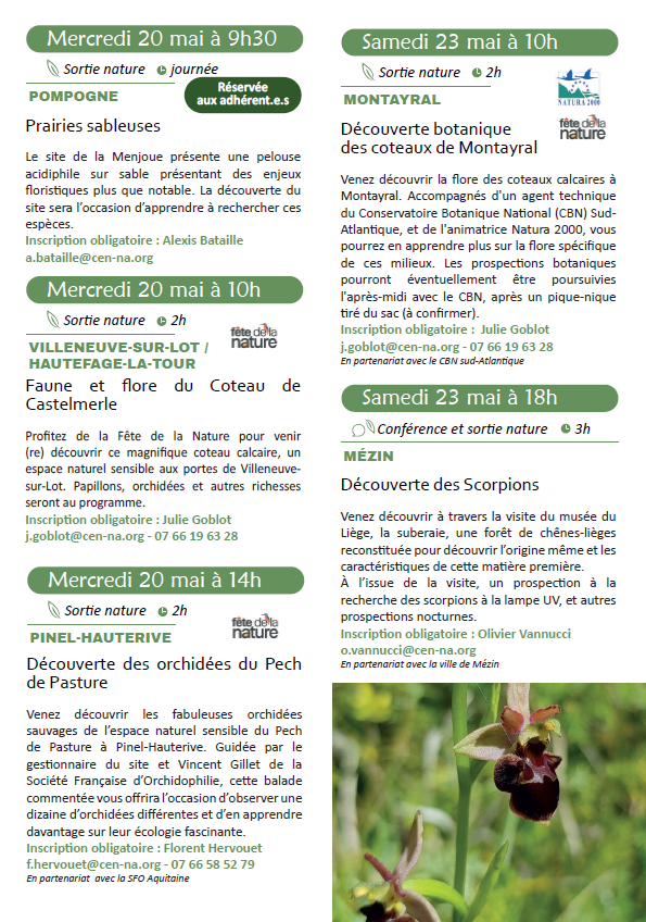 Découverte des orchidées du Pech de Pasture