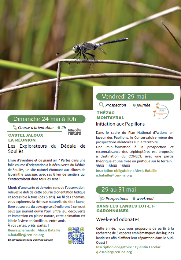 Initiation aux Papillons