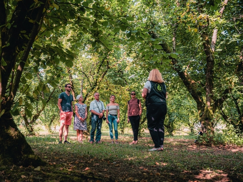 Visite de la coopérative Unicoque et des verge ...