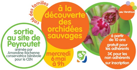 Découverte des orchidées de Peyroutet