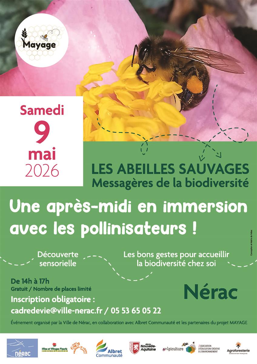 Sortie nature