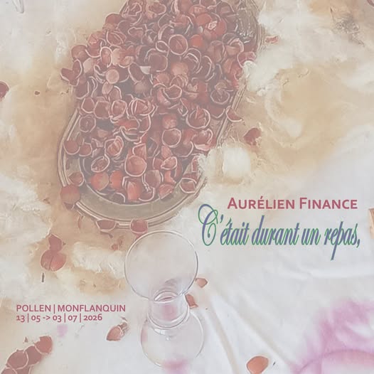 Exposition d'Aurélien Finance, C'était Durant  ...