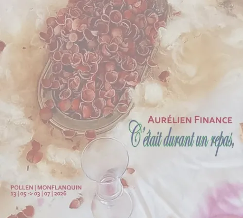 Exposition d'Aurélien Finance, C'était Durant un Repas