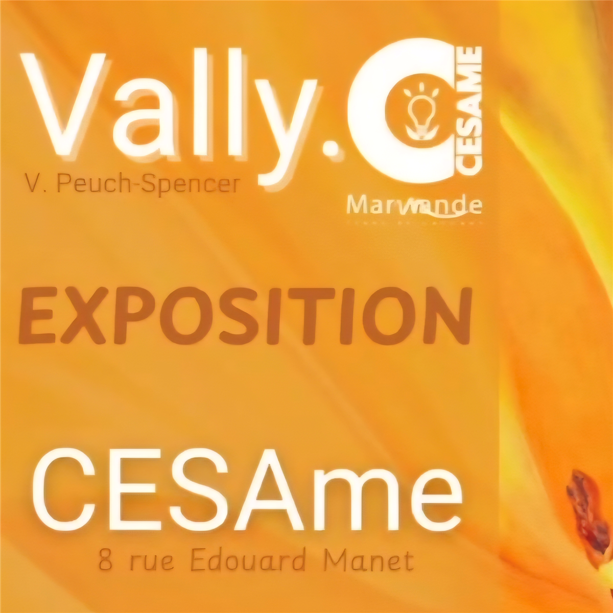 Exposition Vally à CESAme