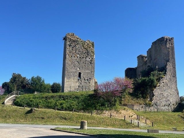 Conférence autour du château de Montgaillard