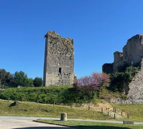 Conférence autour du château de Montgaillard