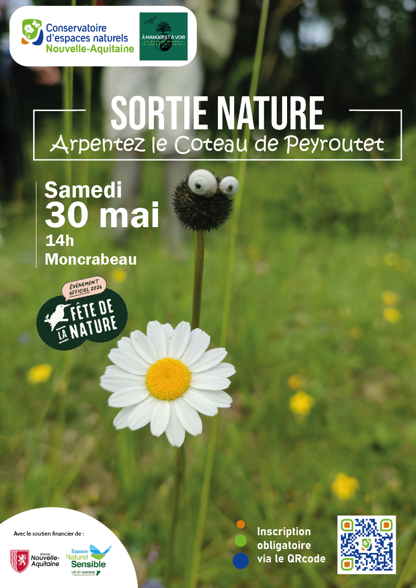 Fête de la Nature : découverte du coteau de Pe ...