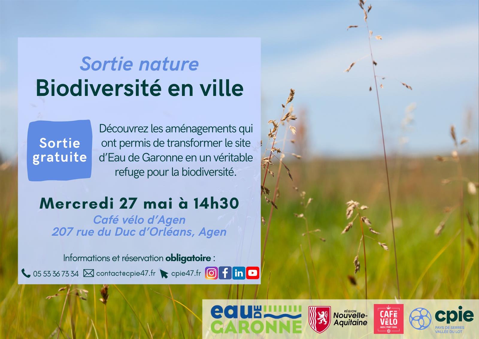 Balade découverte de la biodiversité en ville