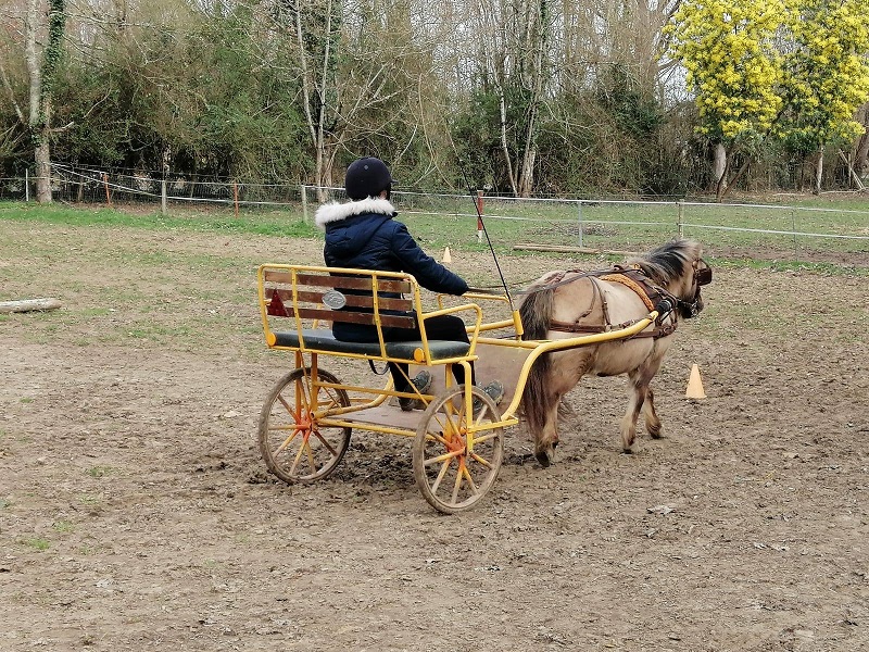 Les stages du Ranch e ... - Crédit: ©ranch-sdl | CC BY-NC-ND 4.0