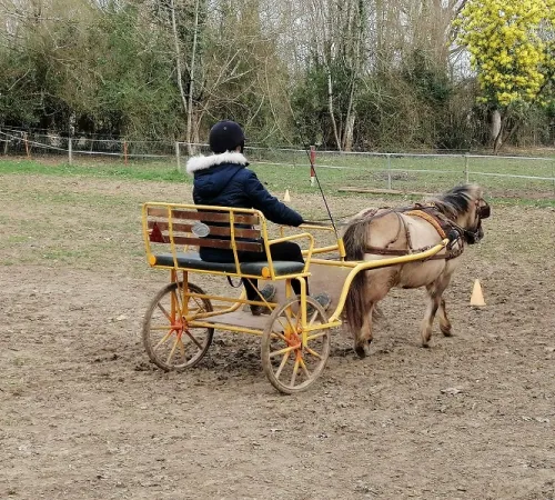 Les stages du Ranch et Ferme du Saut du Loup