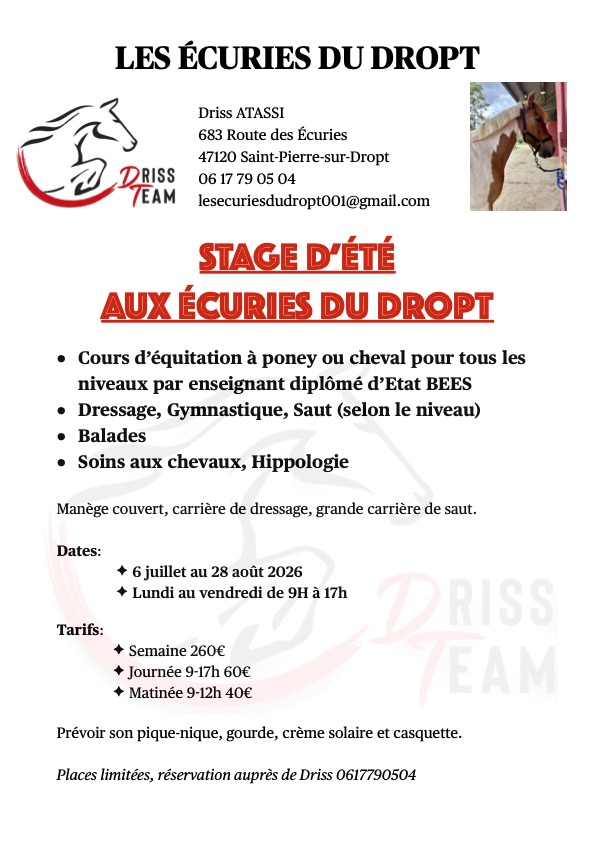 Stage d'équitation (poney ou cheval) tout l'été