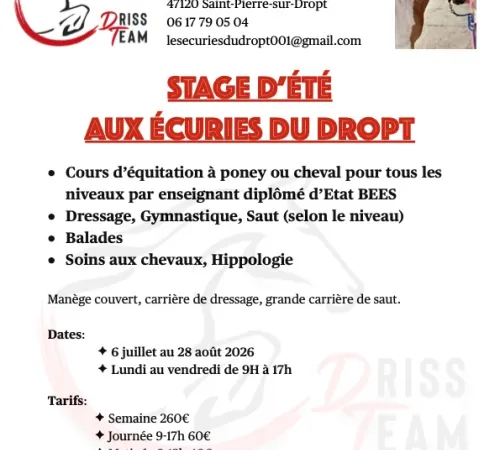 Stage d'équitation (poney ou cheval) tout l'été