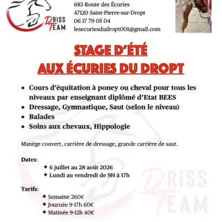Stage d'équitation (poney ou cheval) tout l'été