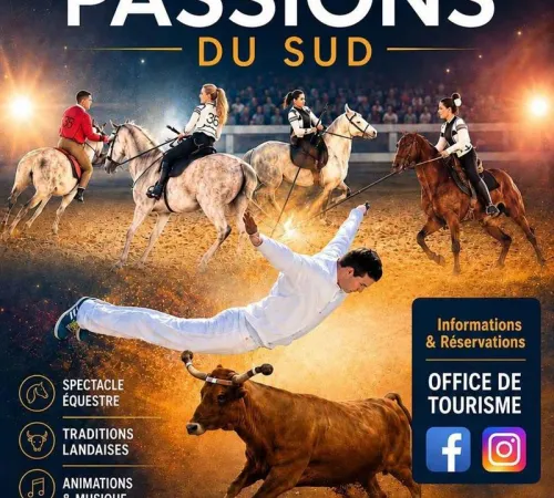 Chevaux et Passions du Sud