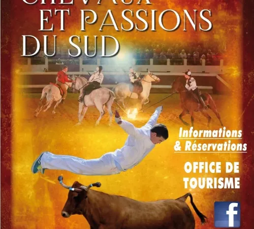 Chevaux et Passions du Sud