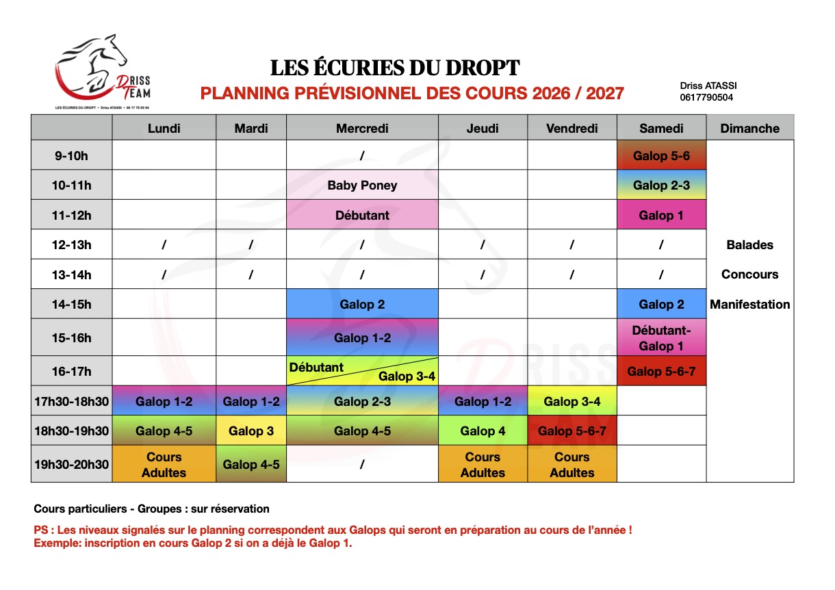 Cours d'équitation aux Ecuries du Dropt