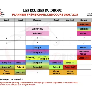 Cours d'équitation aux Ecuries du Dropt