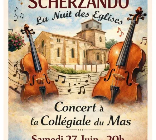 Orchestre Scherzando - La Nuit des Eglises
