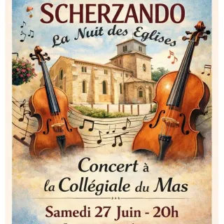Orchestre Scherzando - La Nuit des Eglises
