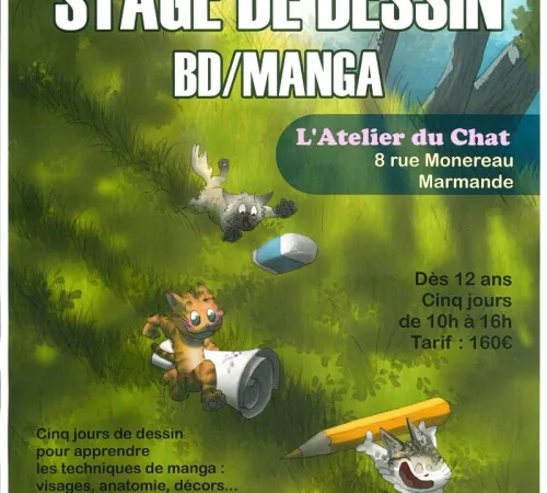 Stage de dessin - BD / MANGA