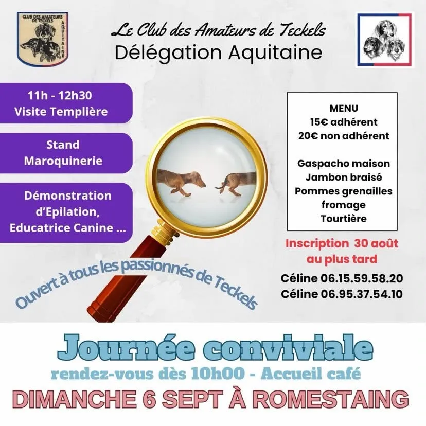 Journée conviviale - Crédit: Club des Amateurs de Teckels | CC BY-NC-ND 4.0