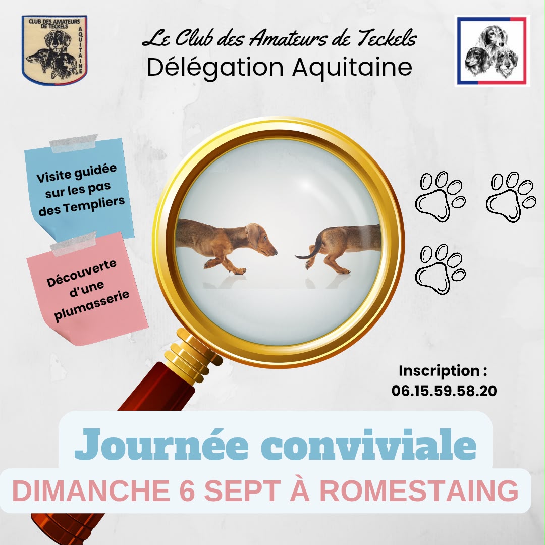 Journée conviviale - Crédit: Club des Amateurs de Teckels | CC BY-NC-ND 4.0