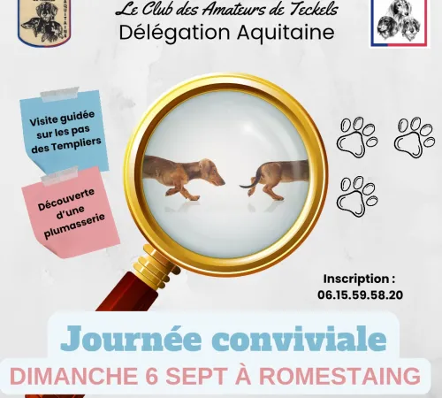 Journée conviviale