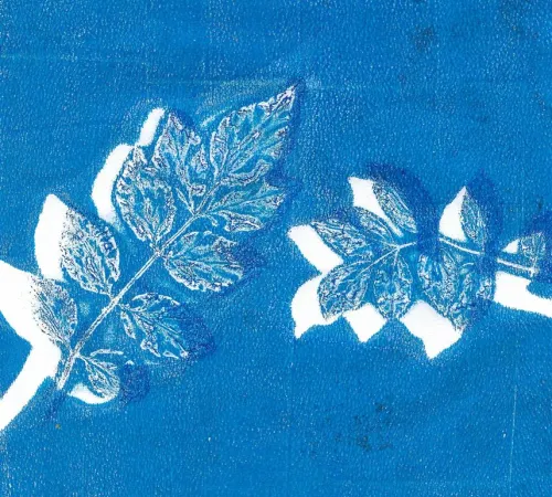 Rando en bleu